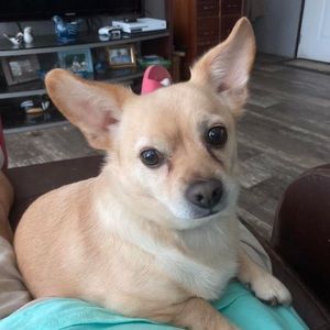 Meet your Posher, Cindy